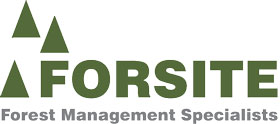 Forsite Consultants
