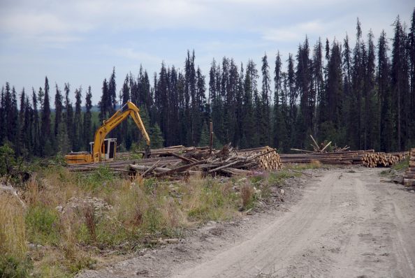 Community leaders: Pyramid mill closure in Seeley Lake ‘devastating ...