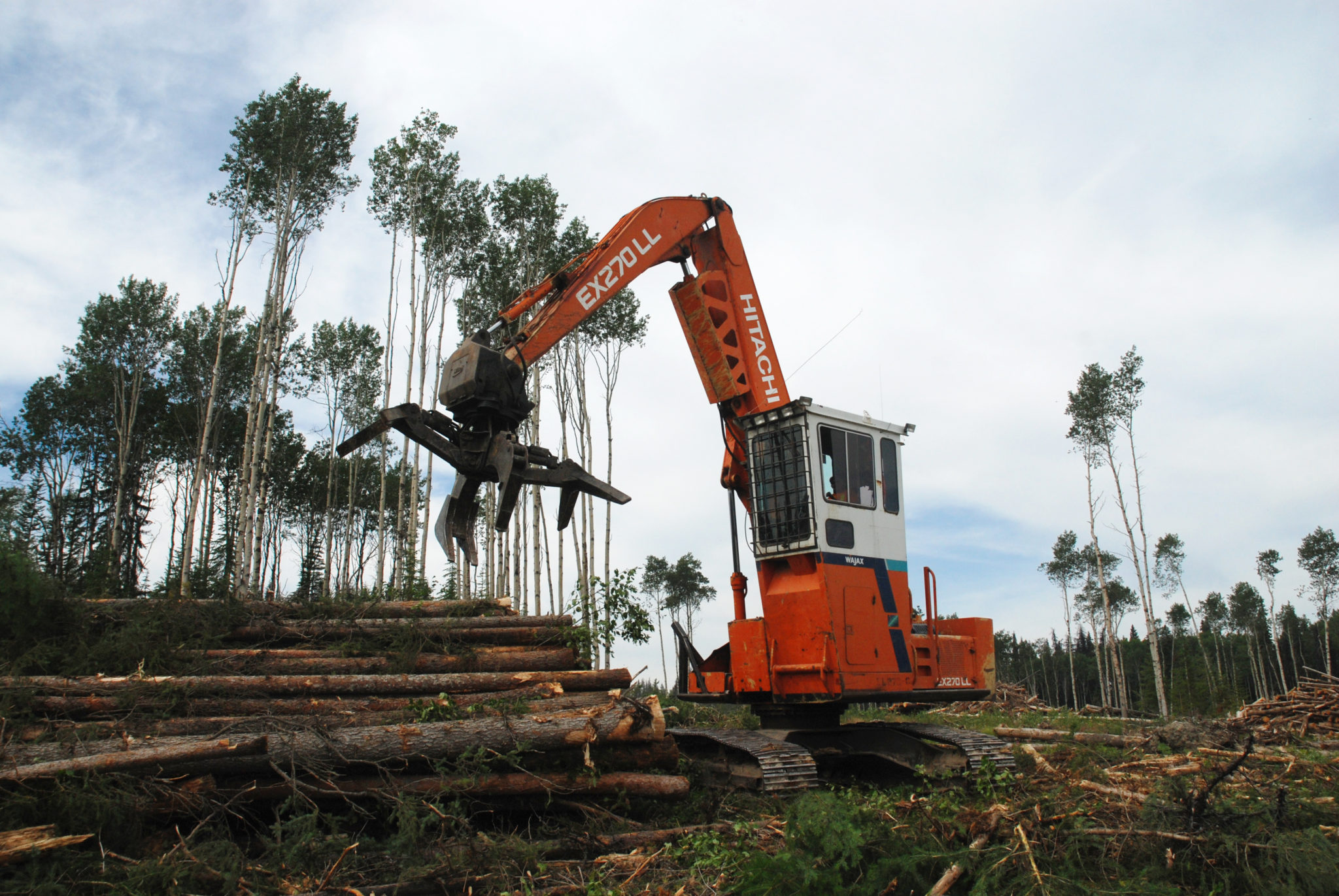 Prince George area marks milestone as BC Timber Sales Auctions two ...