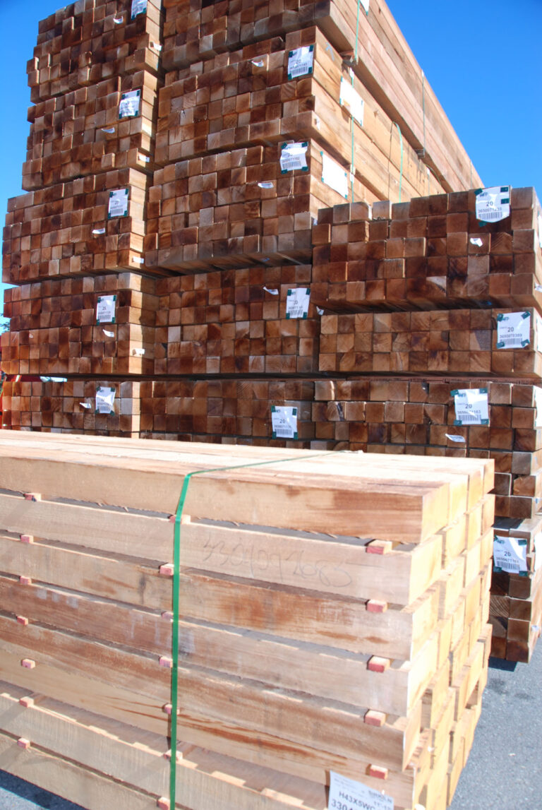 Will Lumber Prices Increase in 2022? Tree Frog creative