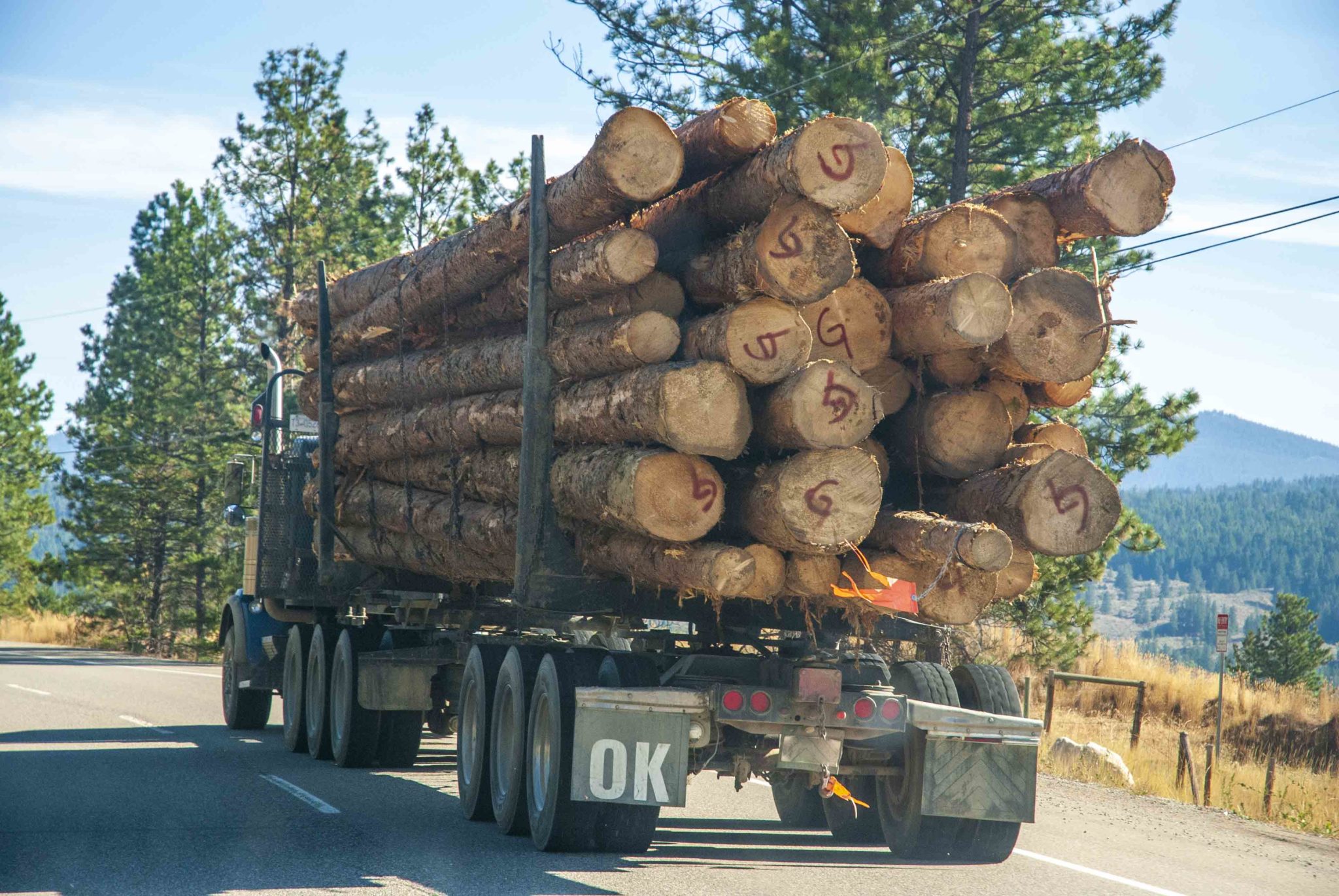 Professional Logging Truck Driver Training Will Benefit Indigenous People Youth Tree Frog 