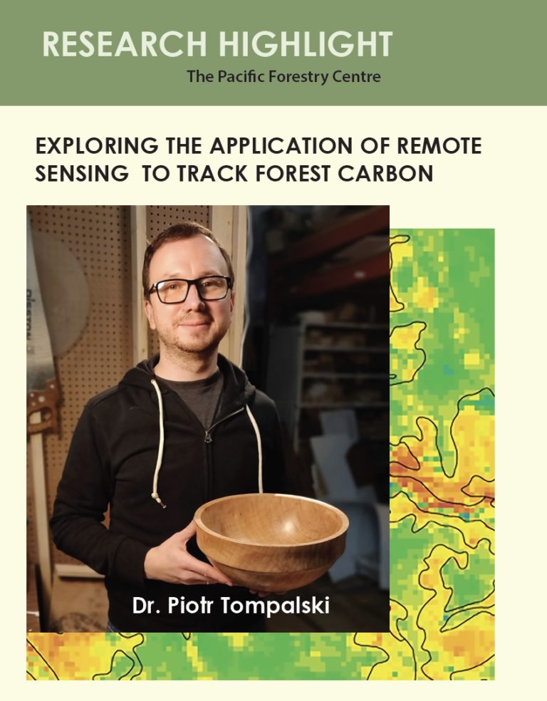 Tree Frog Forestry News Page 4 of 1100 Tree Frog creative