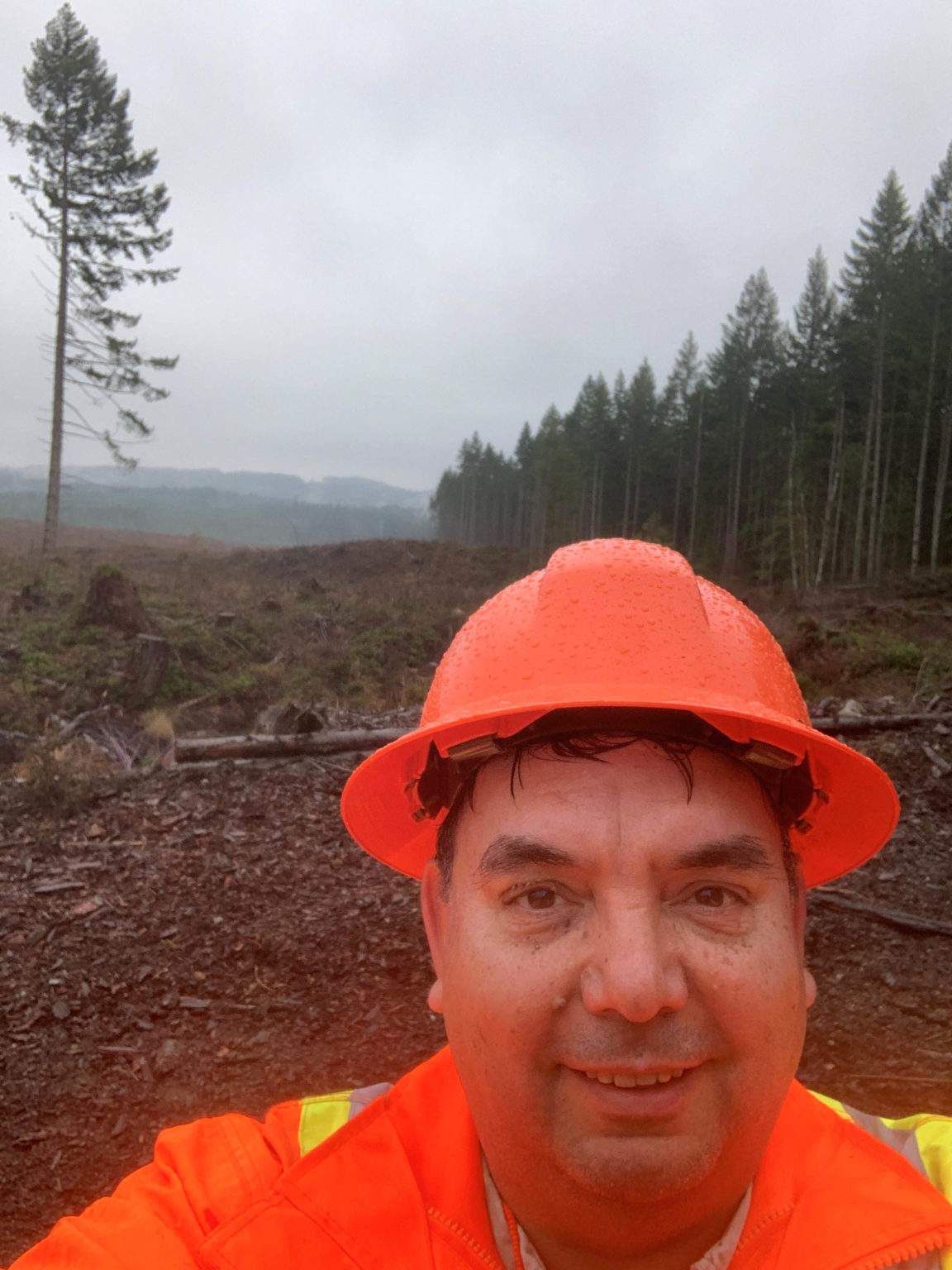 BC's Forest Watchdog a powerful structure supporting the public's