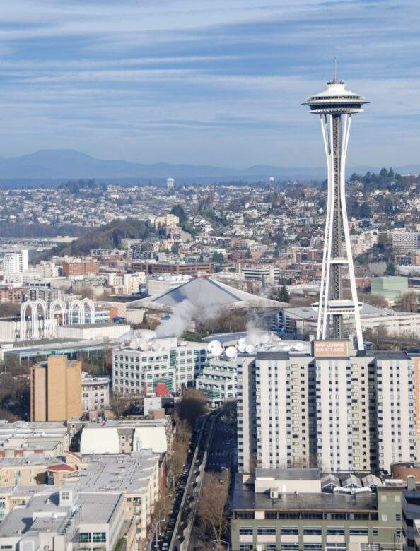 Seattle City Council Passes New Tree Ordinance - Tree Frog Creative