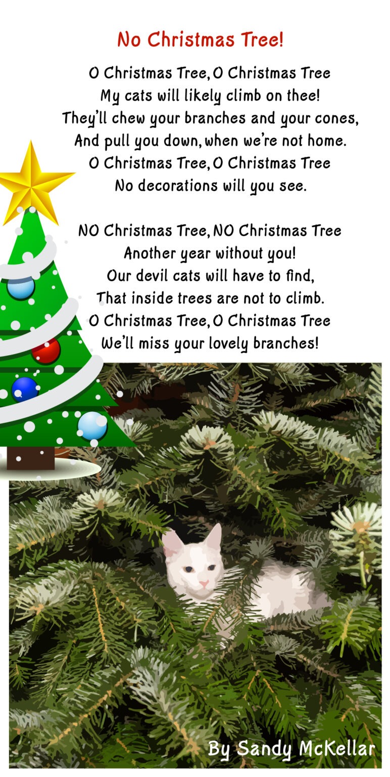 What have you found in your Christmas tree? Tree Frog creative