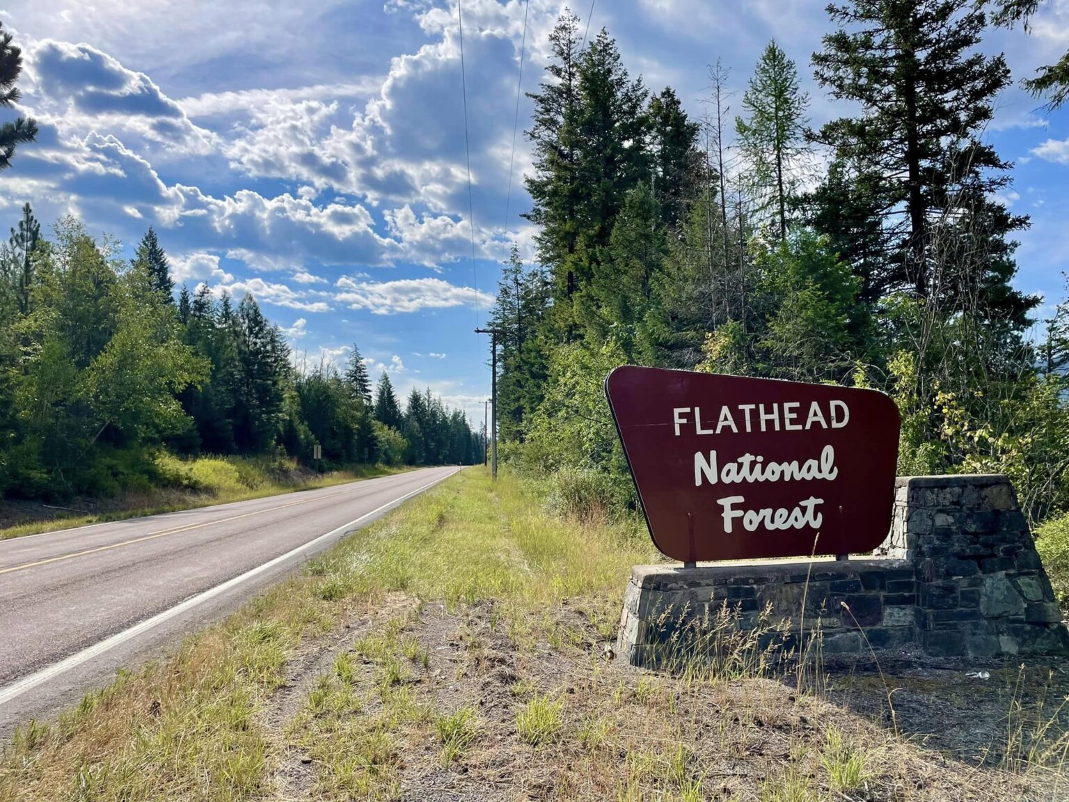 Federal judge quizzes lawyers in Flathead National Forest plan lawsuit