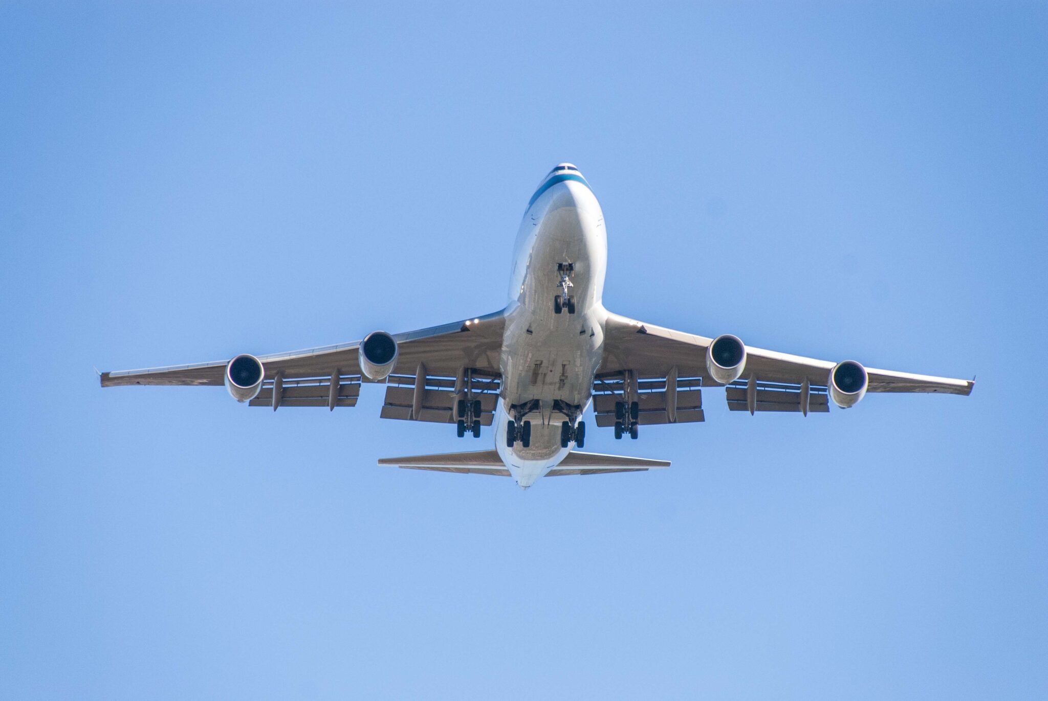 Octopus Energy backs billion‑dollar biomass jet fuel project in Nova ...