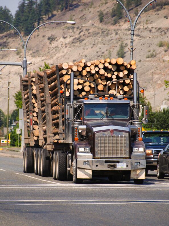 Montana forester on timber lawsuits: 'Judges shouldn't be managing our ...